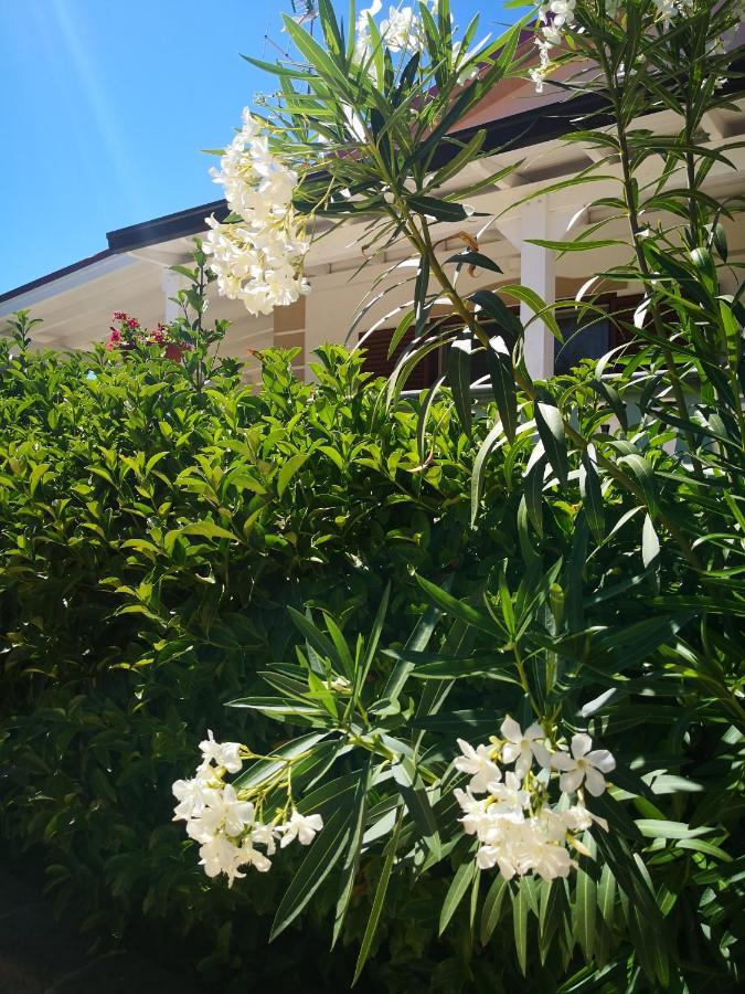 Bed and Breakfast Da Alduccio Vico Del Gargano Exterior foto